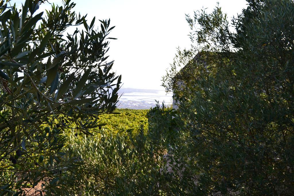 Casa Nel Vigneto Erice Konuk evi Dış mekan fotoğraf