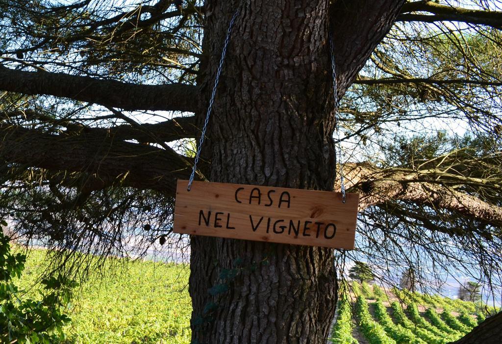 Casa Nel Vigneto Erice Konuk evi Dış mekan fotoğraf